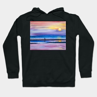 Delta Muga river in Empuriabrava Hoodie